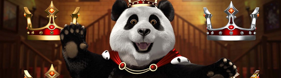 Icc Blog Header Week 9 2023